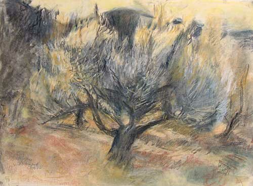 olive tree by alice mumford - click image to close