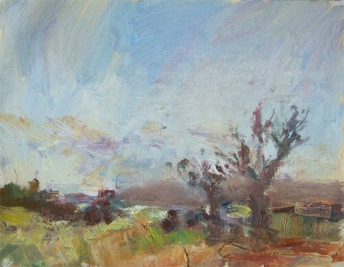 The Fields at Polgrean by Alice Mumford - click image to close