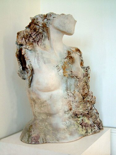 metamorphic torso by adela powell - click image to close