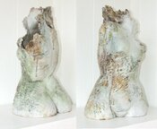 Metamorphic female torso by adela powell - click for enlargement