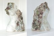 Metamorphic female torso I by adela powell - click for enlargement