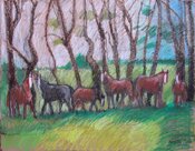 Horses at Newlyn by Angela Stead - click for enlargement