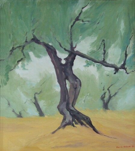 Olive tree by Barrie Briscoe - click image to close