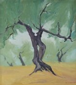 Olive tree by Barrie Briscoe - click for enlargement