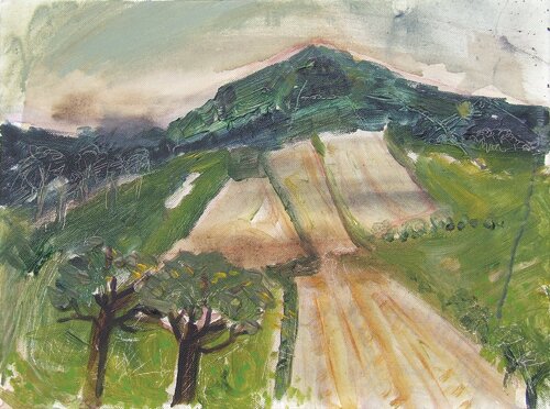 Godolphin Hill by Daphne McClure - click image to close