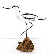 avocet by geoffrey bickley - click for enlargement