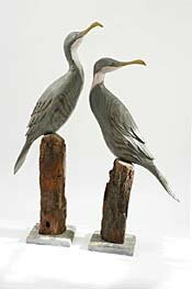 cormorants by geoffrey bickley - click for enlargement