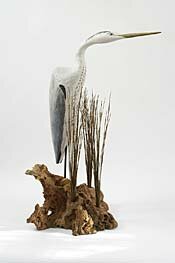 heron by geoffrey bickley - click for enlargement