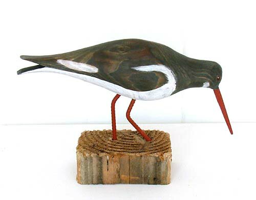 oyster catcher by geoffrey bickley - click image to close