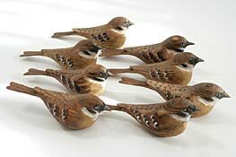 sparrows by geoffrey bickley - click for enlargement