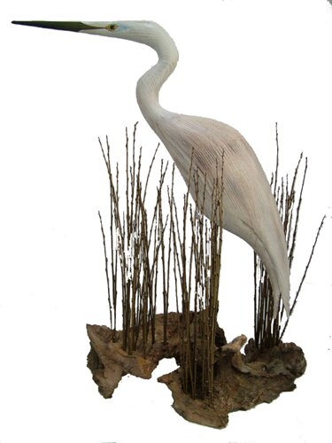 Egret by Geoffrey Bickley - click image to close