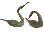 Swimming Cormorants - Pair by Geoffrey Bickley - click for enlargement