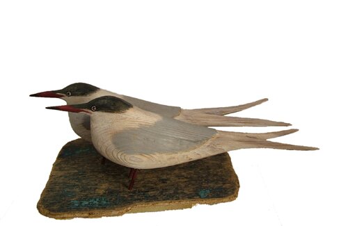 Terns - pair by Geoffrey Bickley - click image to close