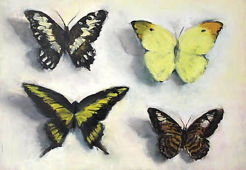 four butterflies by jess allen - click image to close