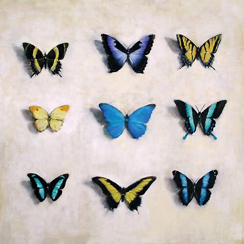 nine butterflies by jess allen - click image to close