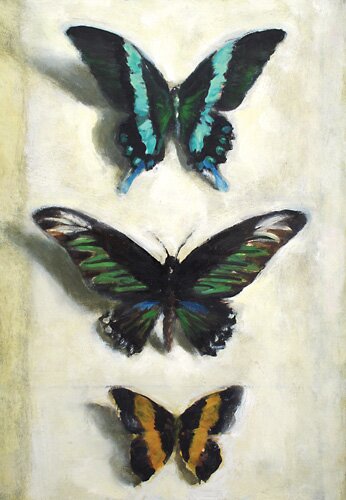 three butterflies by jess allen - click image to close