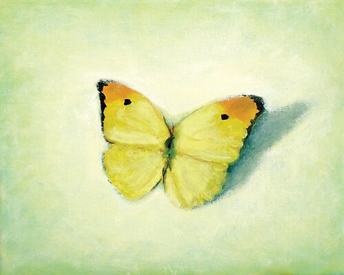 yellow butterfly by jess allen - click image to close