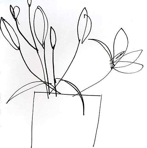 'Drawing of lilies and soap dish I' by jessica cooper - click image to close