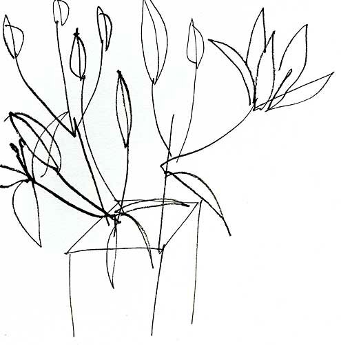 'Drawing of lilies and soap dish II' by jessica cooper - click image to close