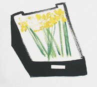 black crate with yellow daffodils left on the pavement outside the shop by jessica cooper - click for enlargement