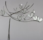 Magnolia for Dad by Jessica Cooper - click for enlargement