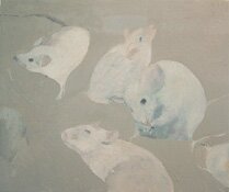 mice by kristin vestgard - click for enlargement