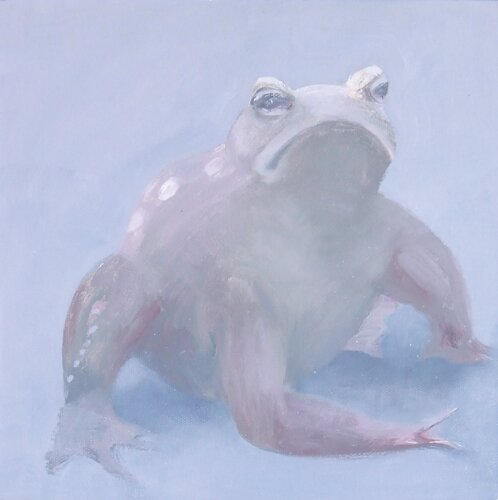 frog by Kristin Vestgard - click image to close