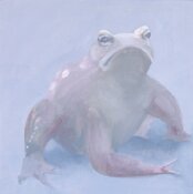 frog by Kristin Vestgard - click for enlargement