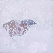 robin in winter land by Kristin Vestgard - click for enlargement