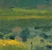 Bright gorse by neil pinkett - click for enlargement