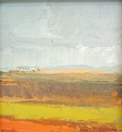 Zennor Fields by neil pinkett - click for enlargement