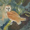 Owl by Romi Behrens - click for enlargement