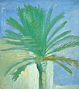 palm tree by romi behrens - click for enlargement