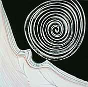 Black & White Spiral 03 by terry frost - click for enlargement