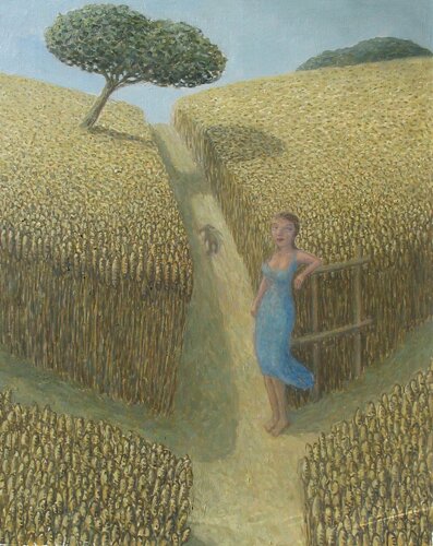 Cornfield by Tony Snowden - click image to close